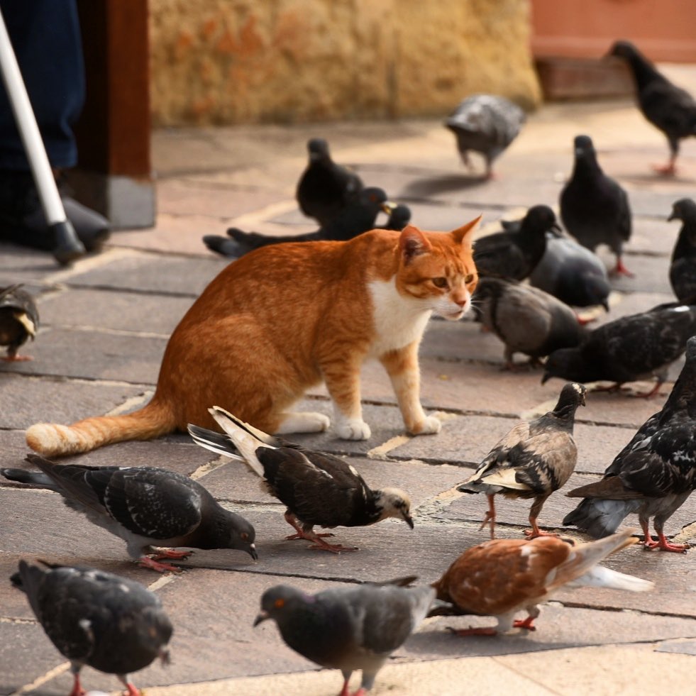 Weekly Magazine In India